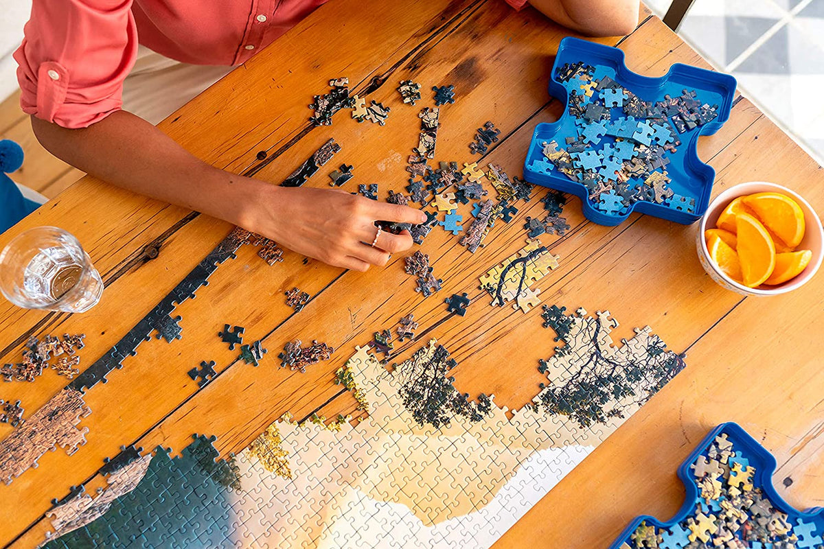 Puzzle Pieces Sorting Trays