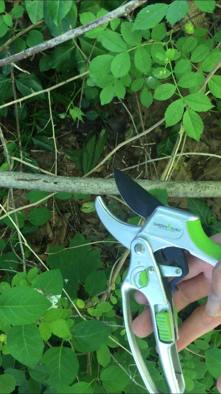 2-in-1 Garden Ratchet Pruning Shears Clippers