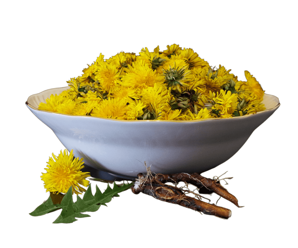 Dandelion Root, Organic, Cut, Sifted
