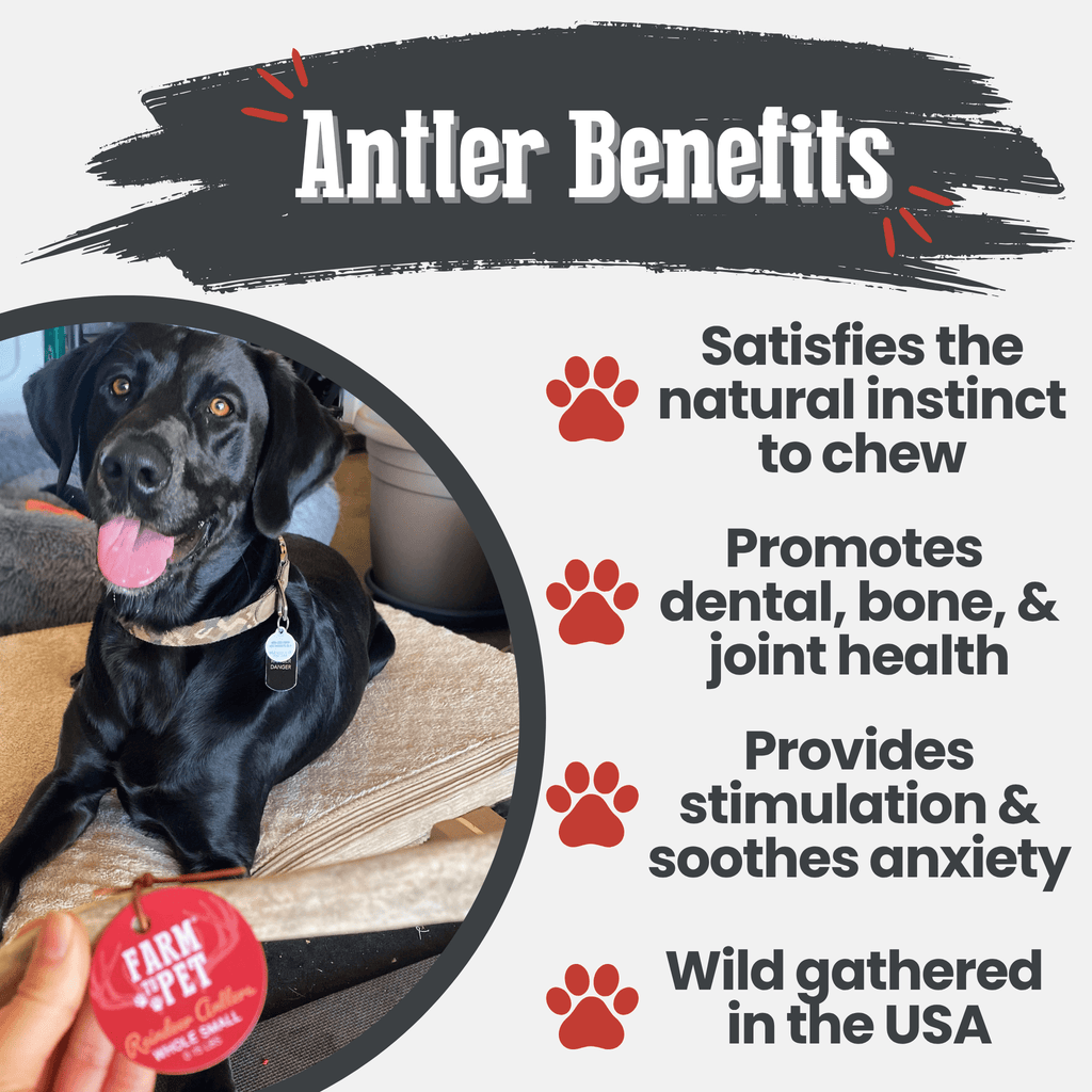Reindeer Antler Dog Chews | Organic Chews for Dogs