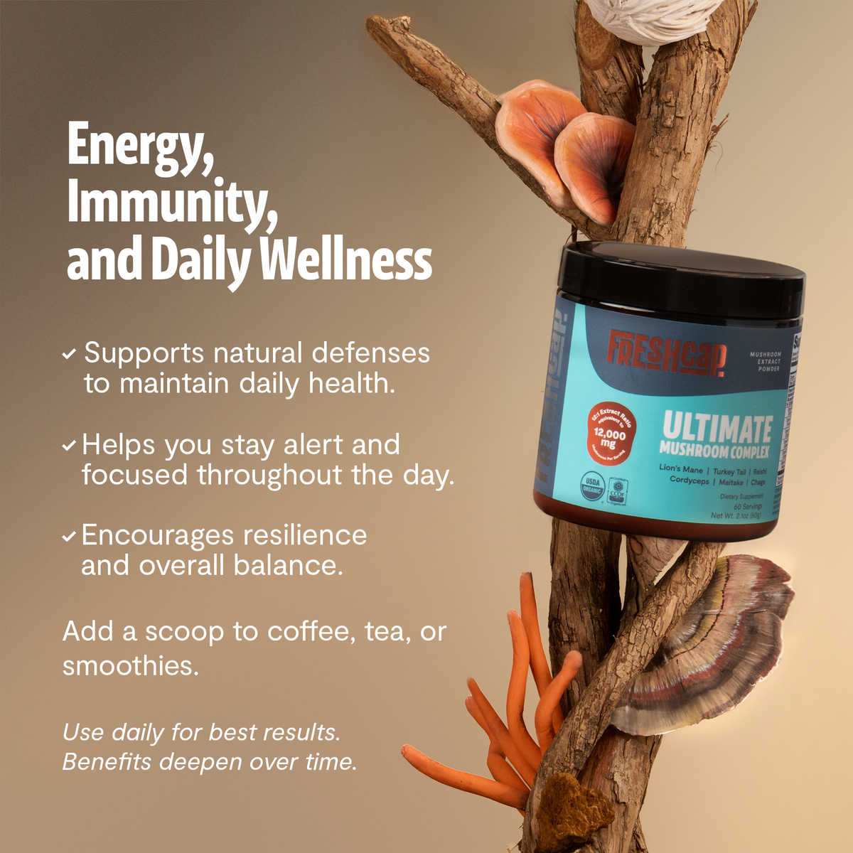 Organic Mushroom Extract Powder Blend