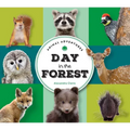 Animal Adventures: Day in the Forest