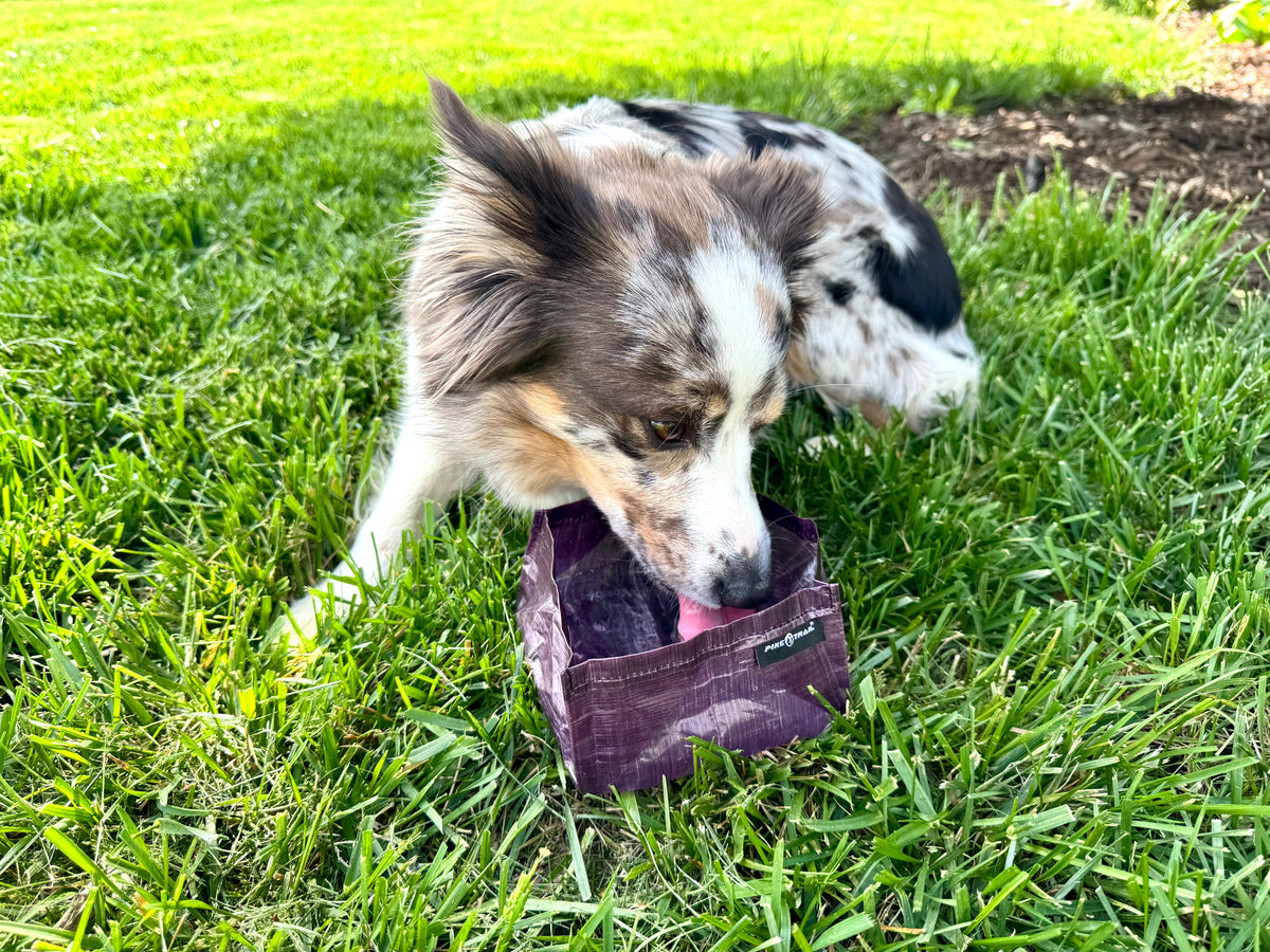 Pike Trail Dyneema Dog Bowl
