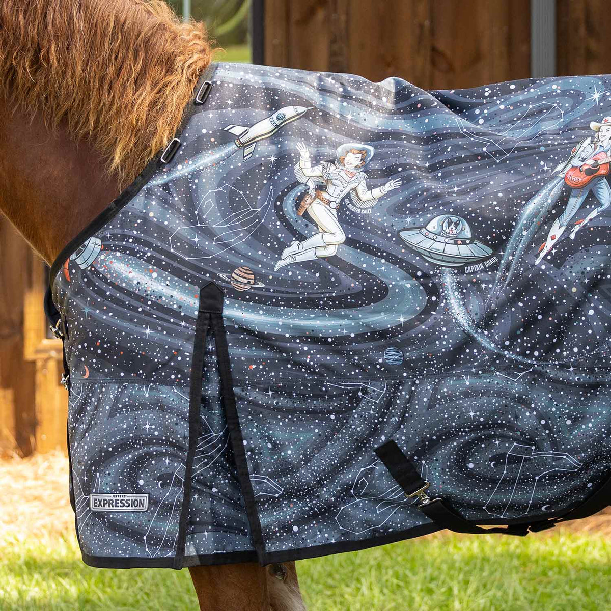 Jeffers Expression 1200 Denier Standard Neck Horse Turnout Sheet, 0 Gram