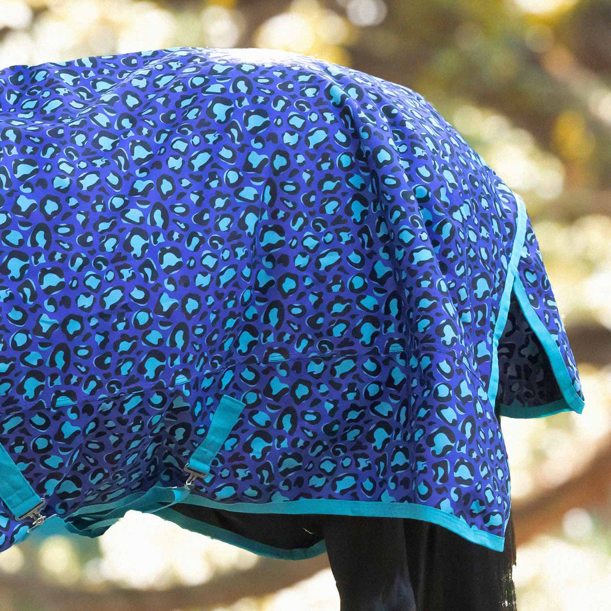 Jeffers Expression 1200 Denier Standard Neck Horse Turnout Sheet, 0 Gram