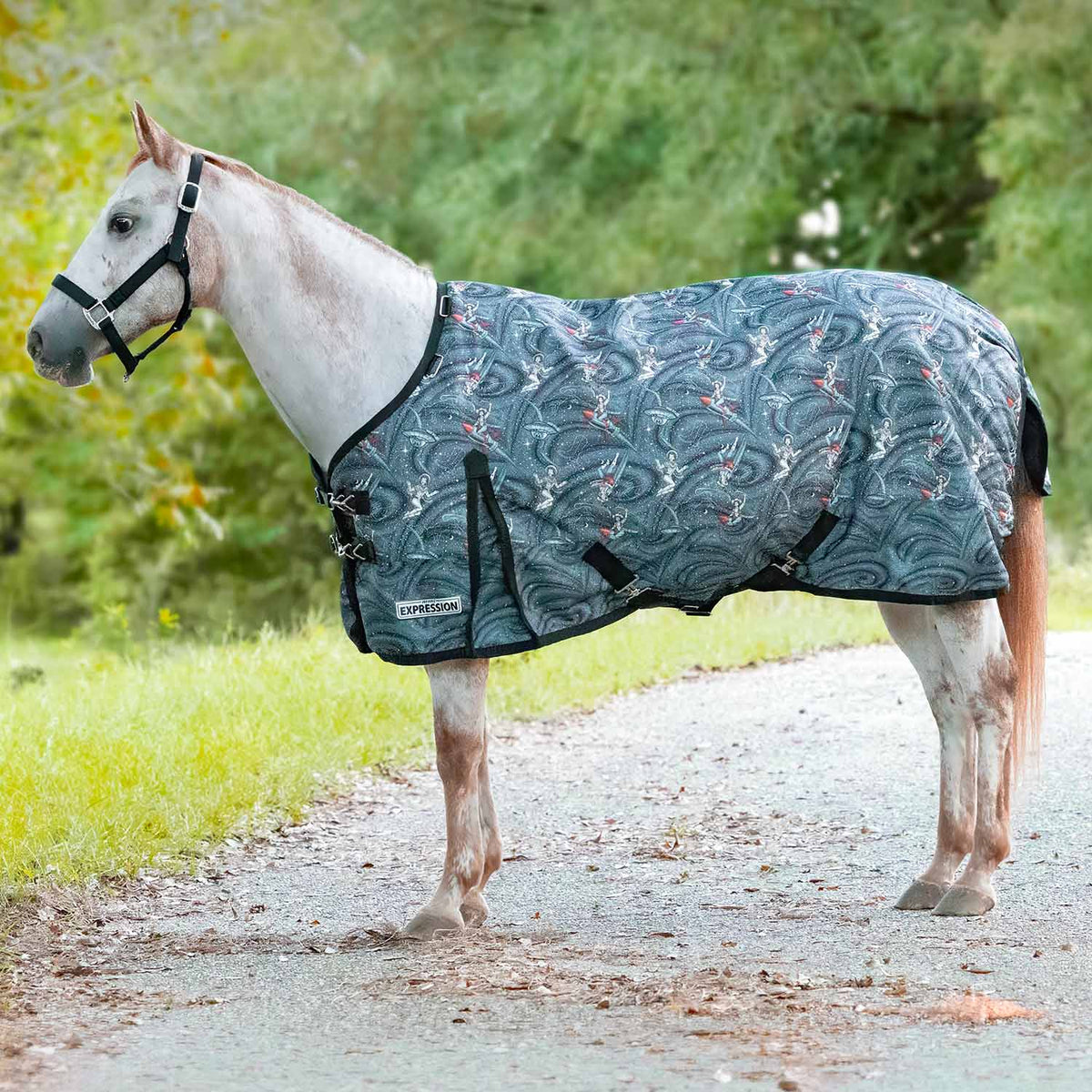 Jeffers Expression Pony 1200 Denier Medium Weight Standard Neck Turnout Blanket, 240g Fill