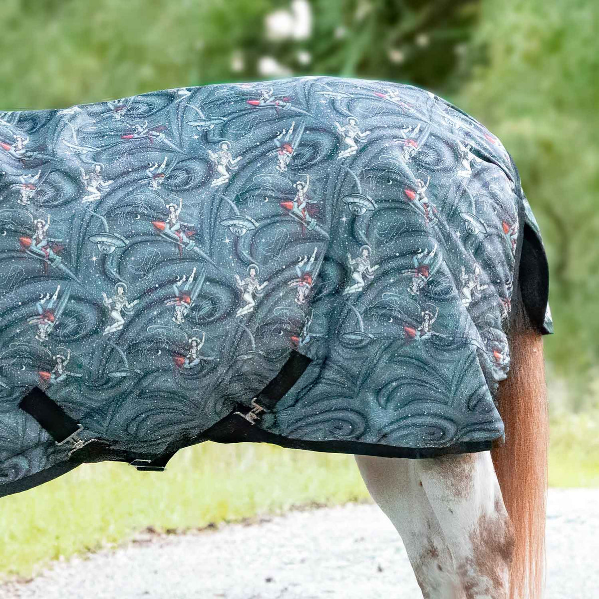 Jeffers Expression Pony 1200 Denier Medium Weight Standard Neck Turnout Blanket, 240g Fill