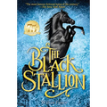 The Black Stallion