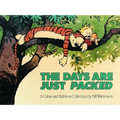 The Days Are Just Packed: A Calvin and Hobbes Collection Volume 9