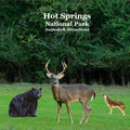 Hot Springs National Park Animals and Attractions Kids Book: Great book for children about the animals and attractions in Hot Springs national park