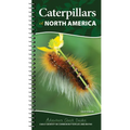 Caterpillars of North America: Easily Identify 90 Common Butterflies and Moths