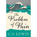 The Problem of Pain