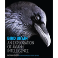 Bird Brain: An Exploration of Avian Intelligence