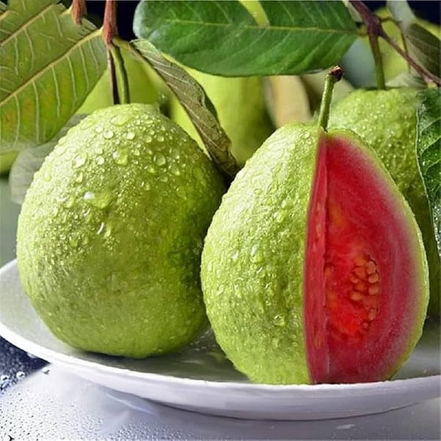 50pcs Tropical Strawberry Guava Seeds – Organic Pink Guava – Exotic Fruit Tree