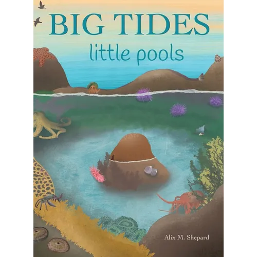 Big Tides Little Pools