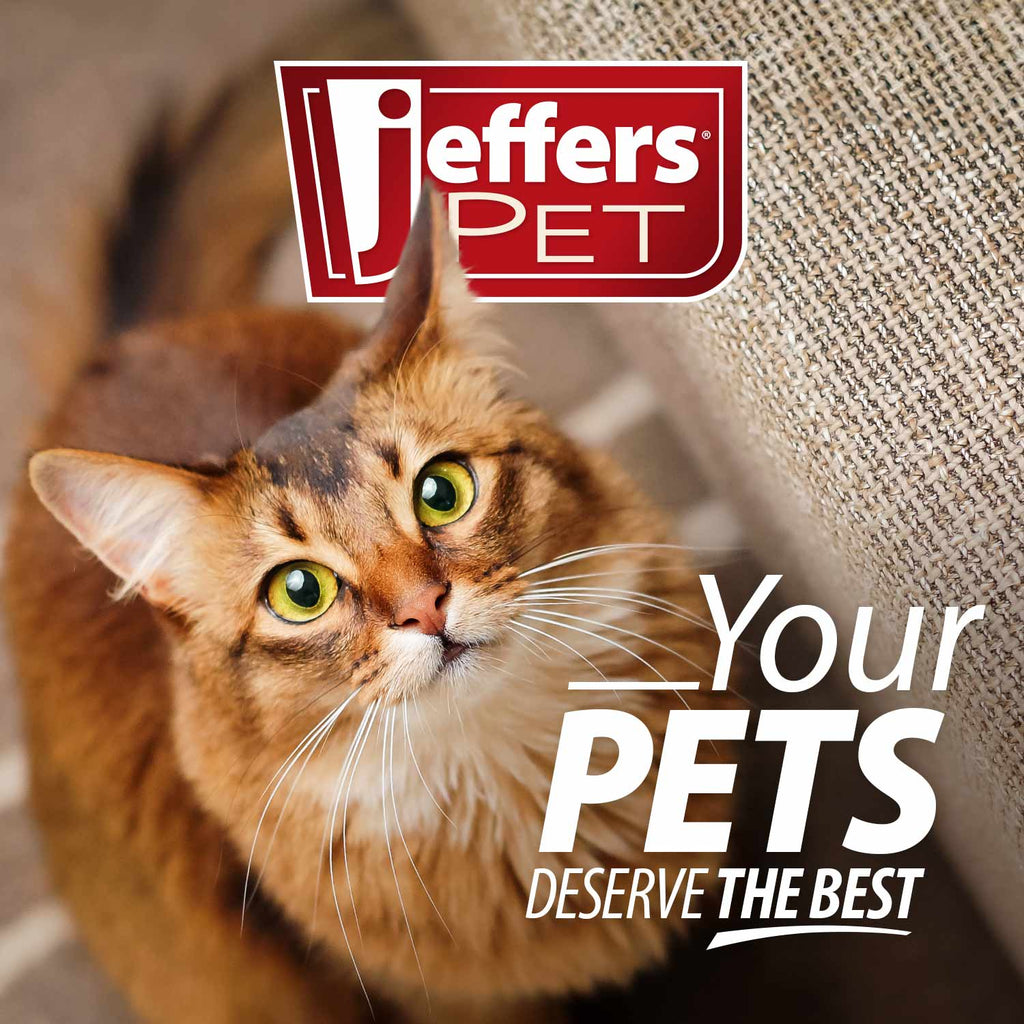 Jeffers Double-Sided Flex Head Pet Grooming Slicker Brush