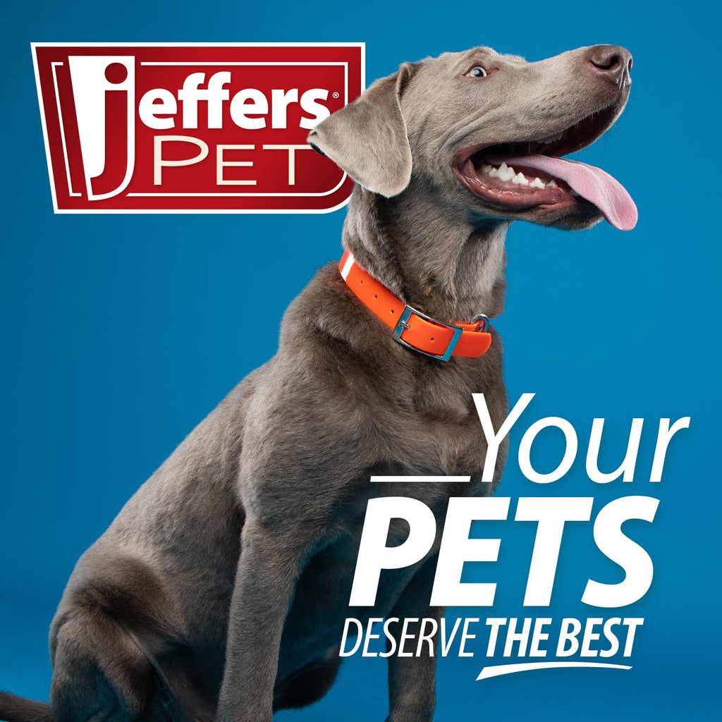 Jeffers Self-Cleaning Slicker Pet Grooming Brush