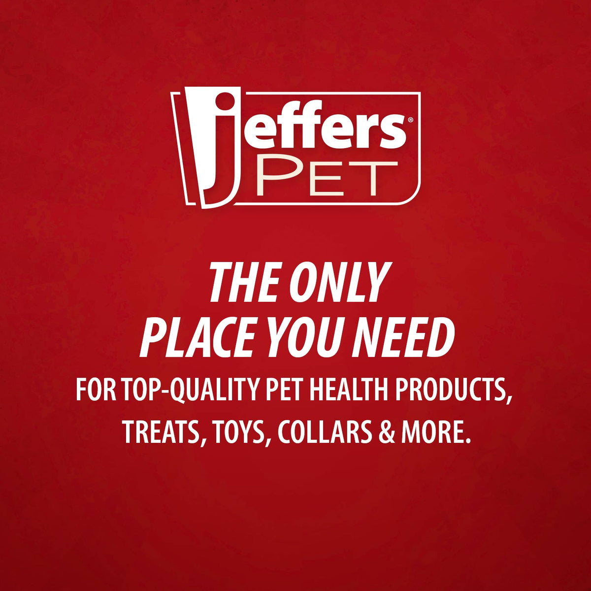 Jeffers Non-Slip Slicker Pet Grooming Brushes