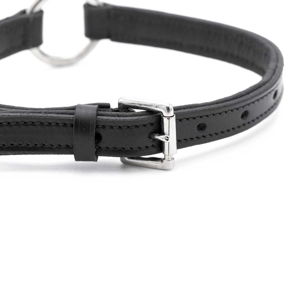 Jeffers Padded Black Leather Dog Collars with O-Ring and Nickel Hardware