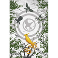 Ballad of Songbirds and Snakes Blank Writing Journal (Hunger Games)