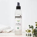 Spirited Mint Aromatherapy Air Freshener Organic