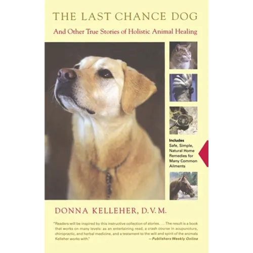 The Last Chance Dog: And Other True Stories of Holistic Animal Healing